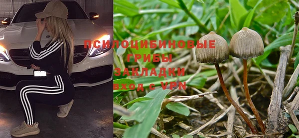индика Алзамай
