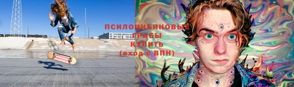 индика Алзамай