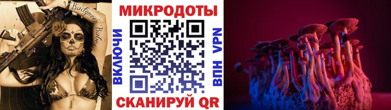 Галлюциногенные грибы Magic Shrooms  где можно купить наркотик  блэк спрут сайт  Змеиногорск 